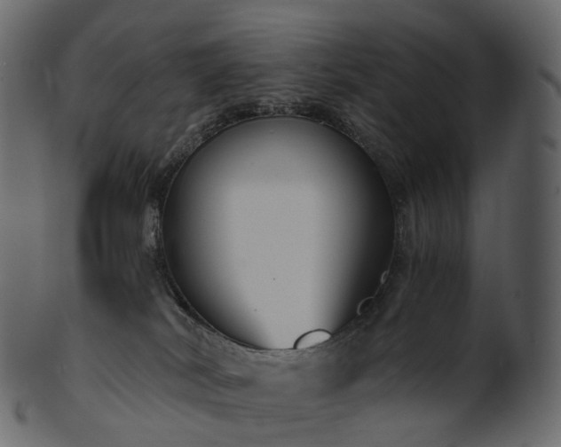 X0000101120038200807031814