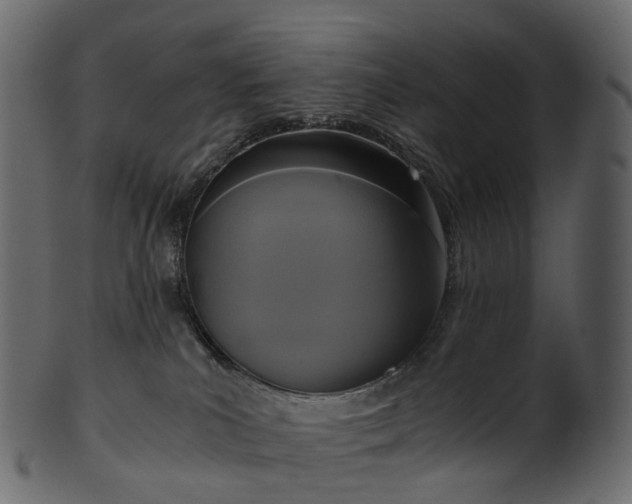 X0000101120039200807031814