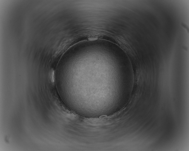 X0000101120041200807031814