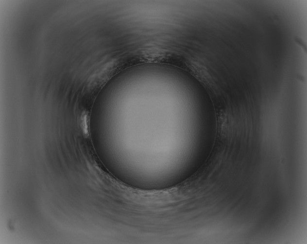 X0000101120042200807031814