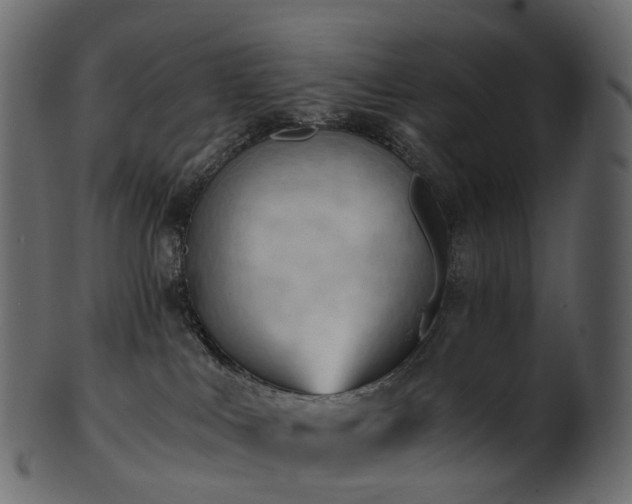 X0000101120043200807031814