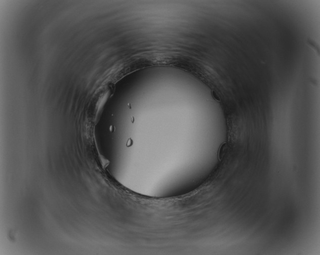 X0000101120044200807031814