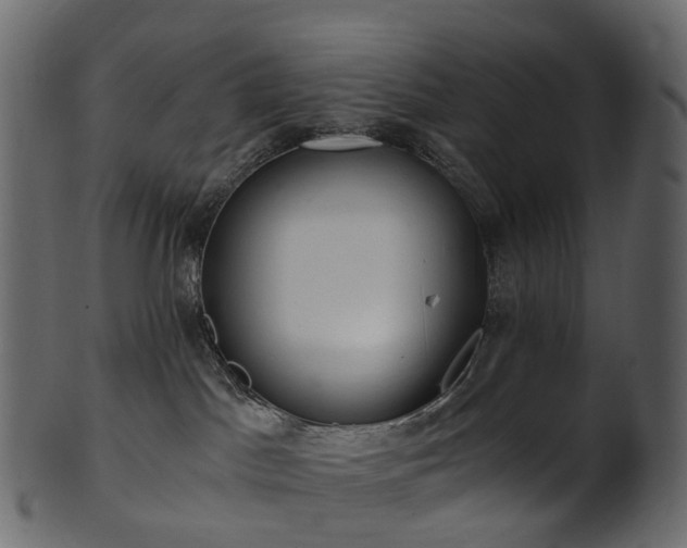 X0000101120045200807031814