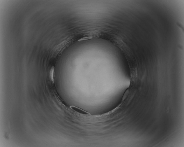 X0000101120047200807031814