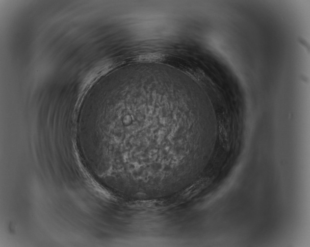 X0000101120049200807031813