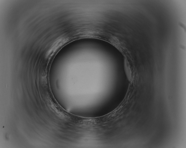 X0000101120050200807031813