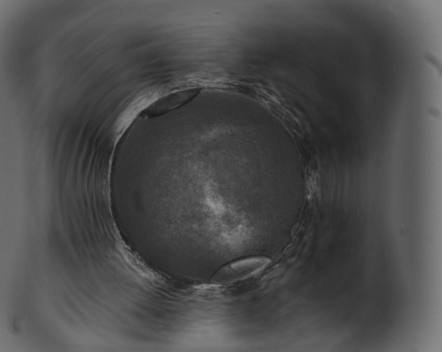 X0000101120052200807031813