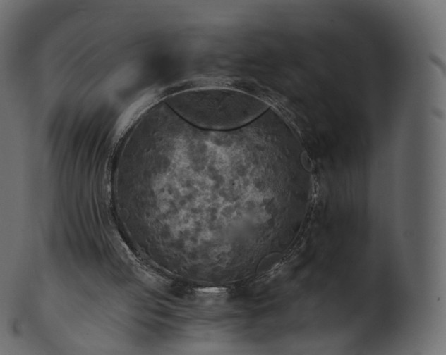 X0000101120053200807031813