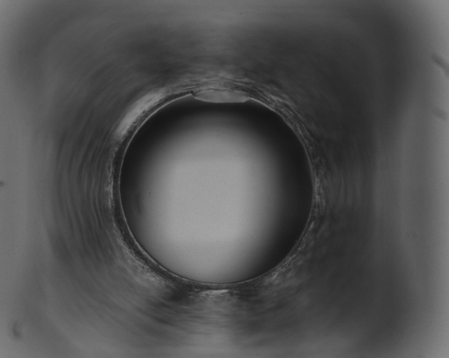 X0000101120054200807031813