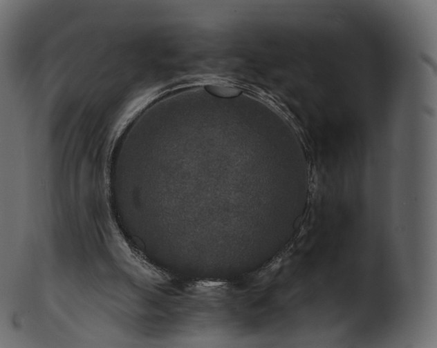 X0000101120055200807031813