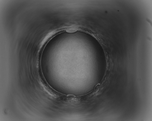 X0000101120056200807031813