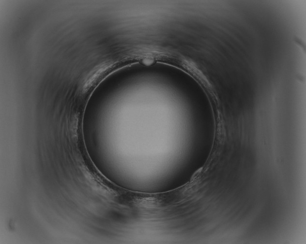 X0000101120058200807031813