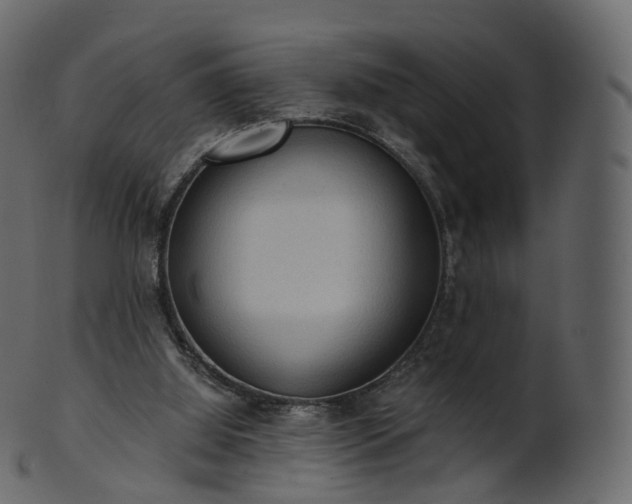 X0000101120060200807031813