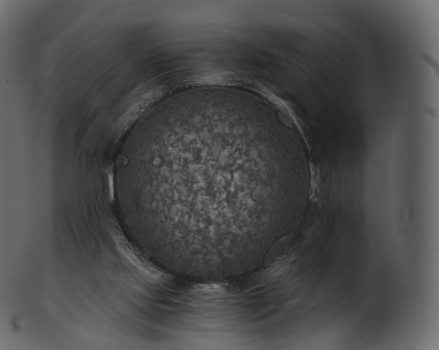 X0000101120061200807031813