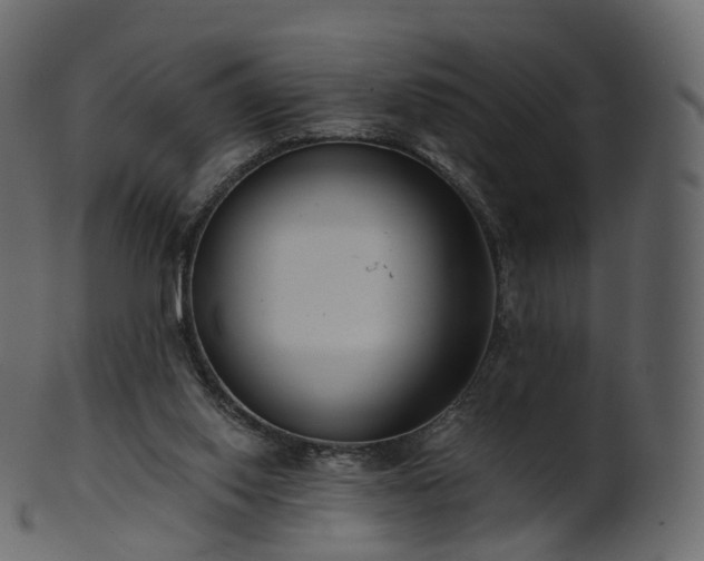 X0000101120062200807031813