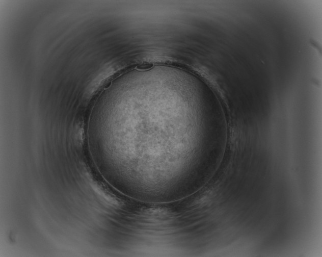 X0000101120063200807031813
