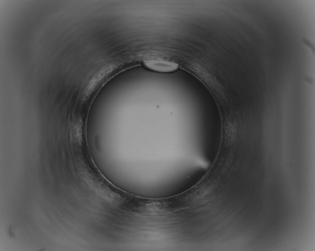 X0000101120064200807031813
