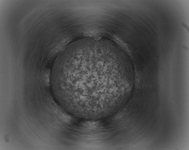 X0000101120065200807031813