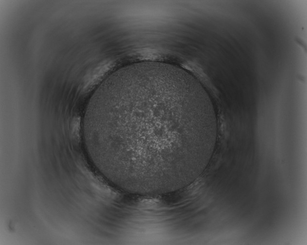 X0000101120066200807031813