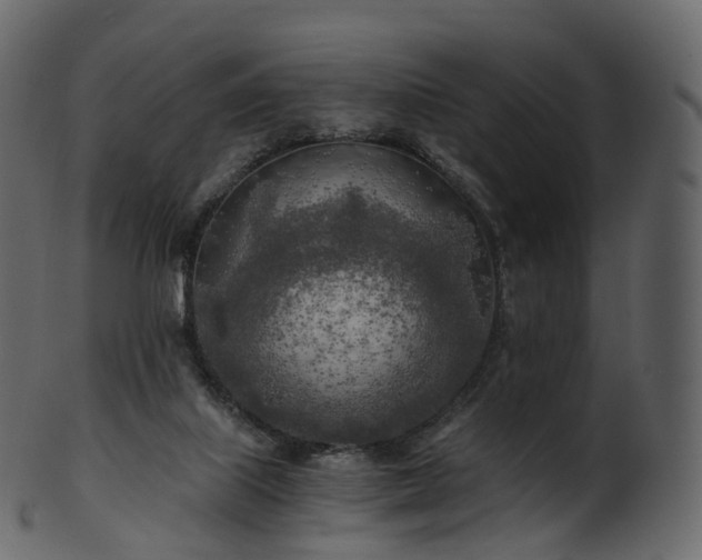 X0000101120067200807031813