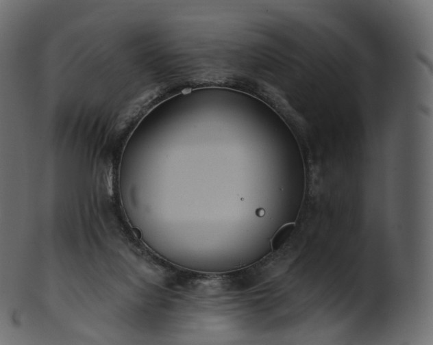 X0000101120068200807031813