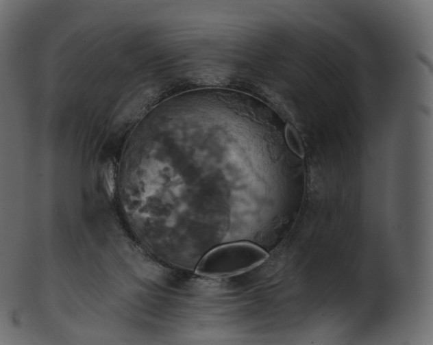 X0000101120069200807031813