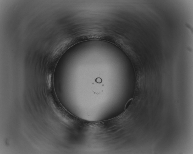 X0000101120070200807031813