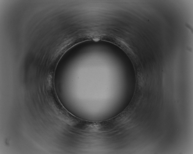 X0000101120071200807031813