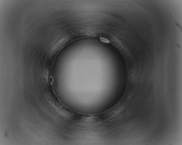 X0000101120072200807031813