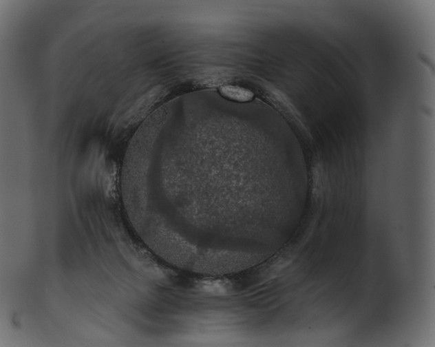 X0000101120073200807031813