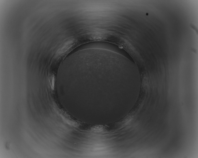 X0000101120076200807031813
