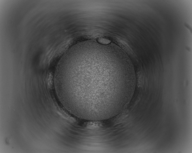 X0000101120077200807031813