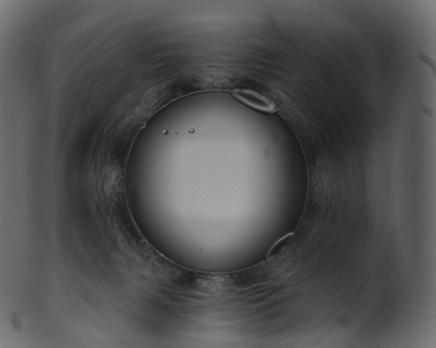 X0000101120079200807031813