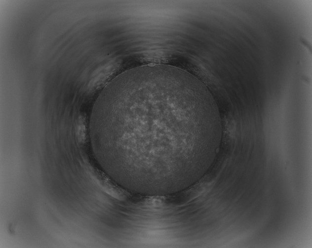 X0000101120080200807031813