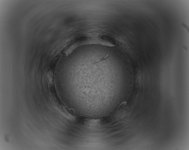 X0000101120081200807031813