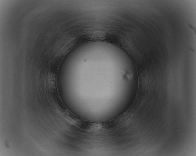 X0000101120083200807031813