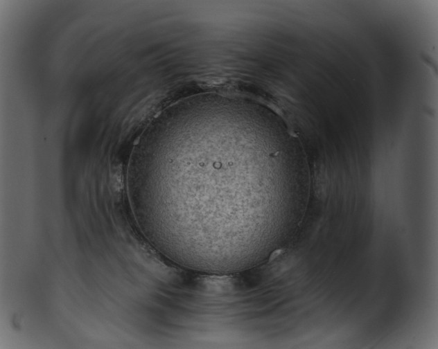 X0000101120085200807031814