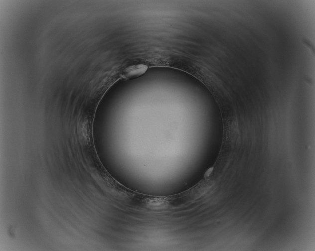 X0000101120088200807031814