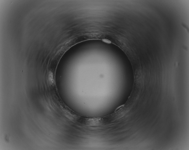 X0000101120089200807031814