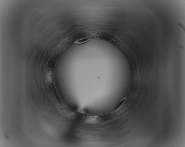 X0000101120090200807031814