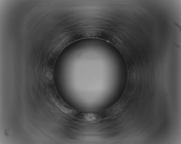 X0000101120091200807031814