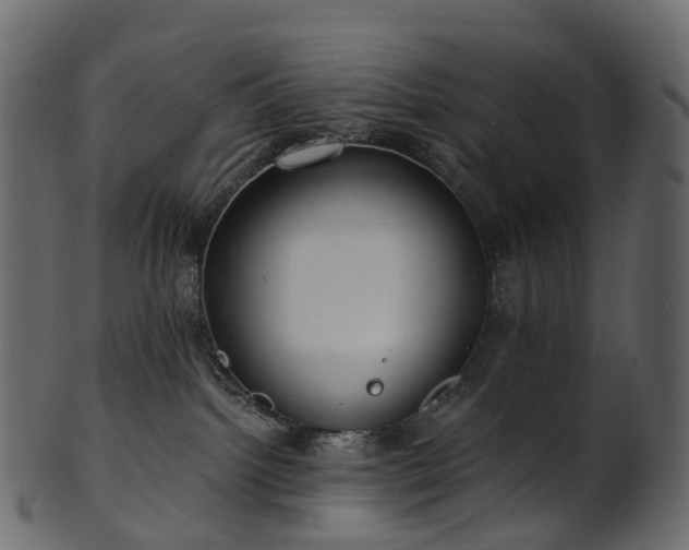 X0000101120092200807031814