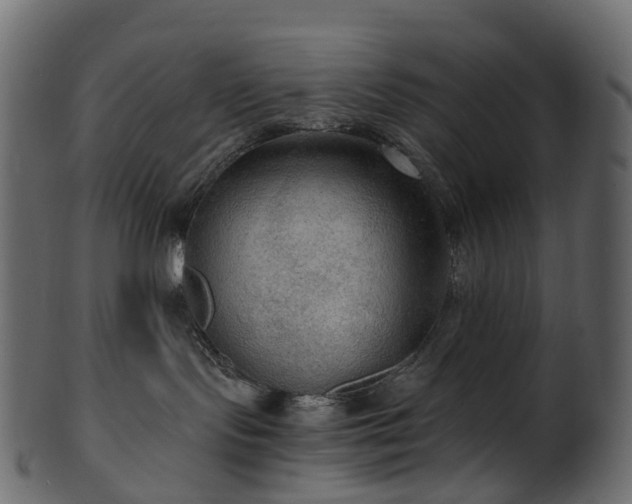 X0000101120095200807031814