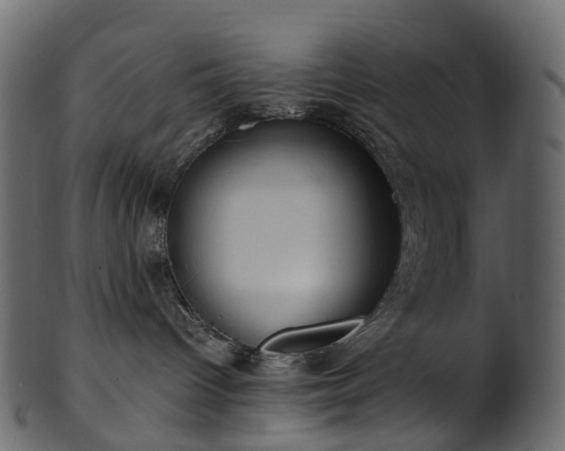 X0000101120096200807031814