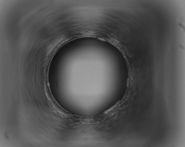 X0000101120097200807031813