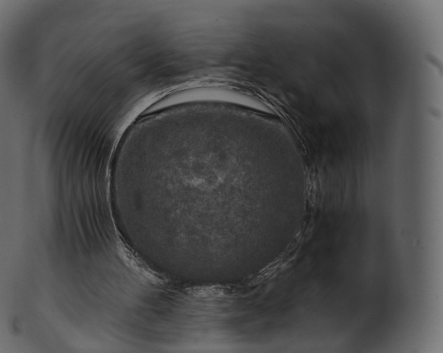 X0000101120100200807031813