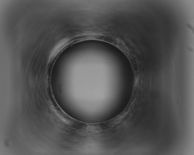 X0000101120101200807031813