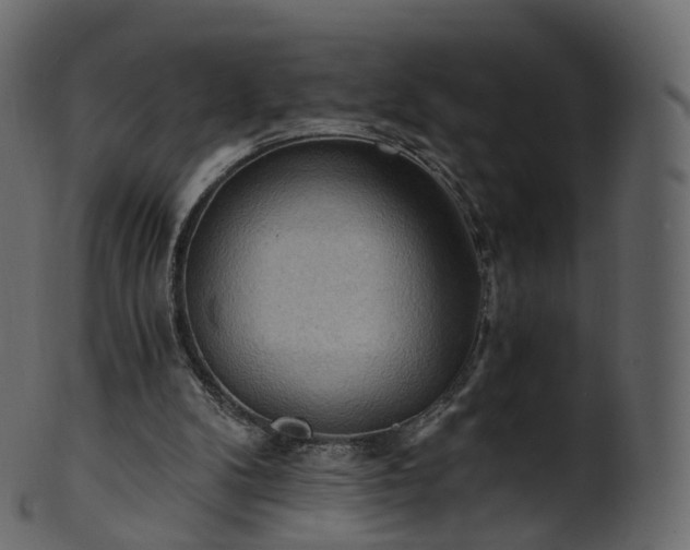 X0000101120104200807031813