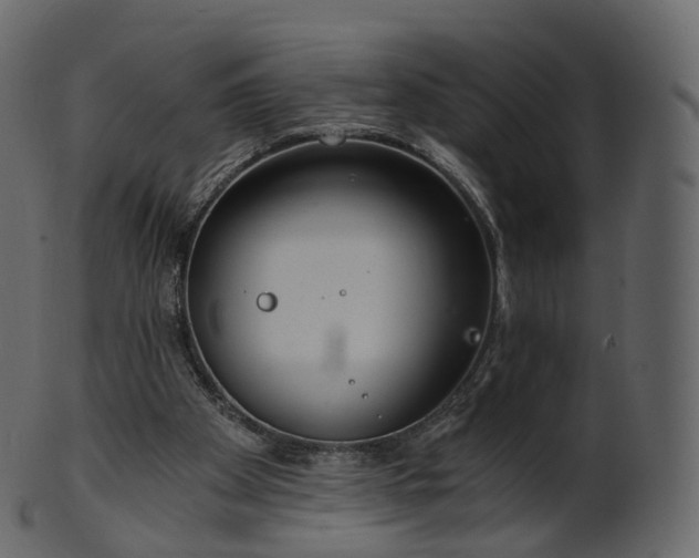 X0000101120105200807031813