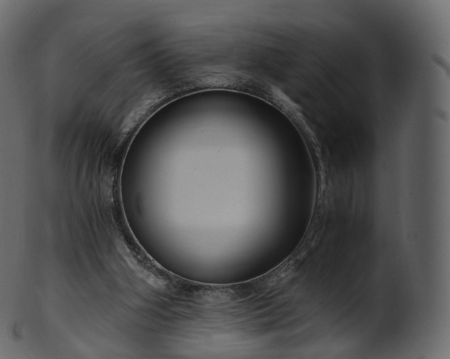 X0000101120106200807031813